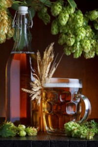 Beer bottle and glass with fresh green hop and wheat on rustic wooden table still life