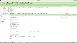 How do I change the default report style for the Brew Steps button ...